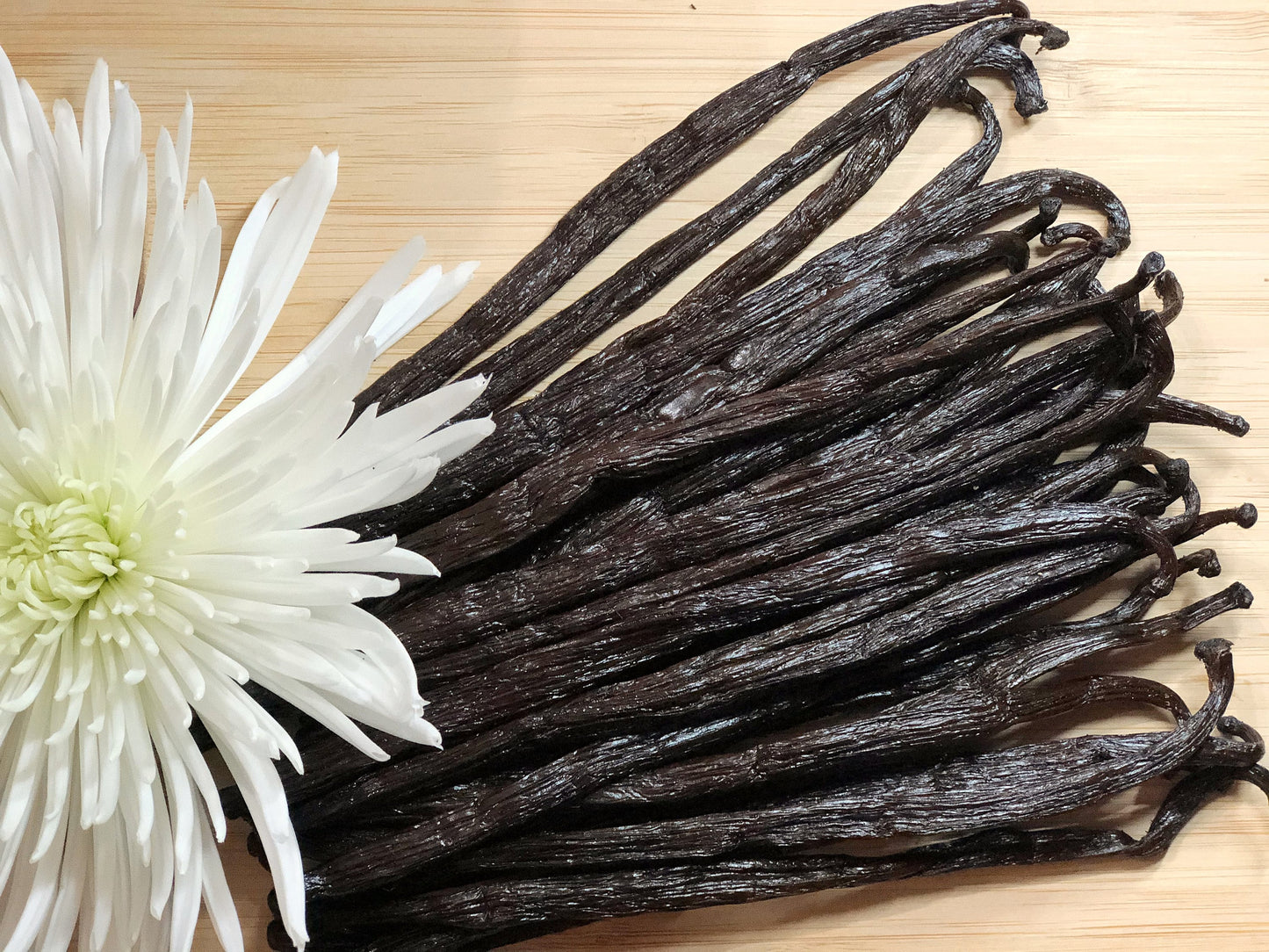 Madagascar Organic Bourbon Vanilla Beans Great for Extraction, Baking & Desserts, Flans, Pudding, Candles, Soaps, Vanilla Sugar