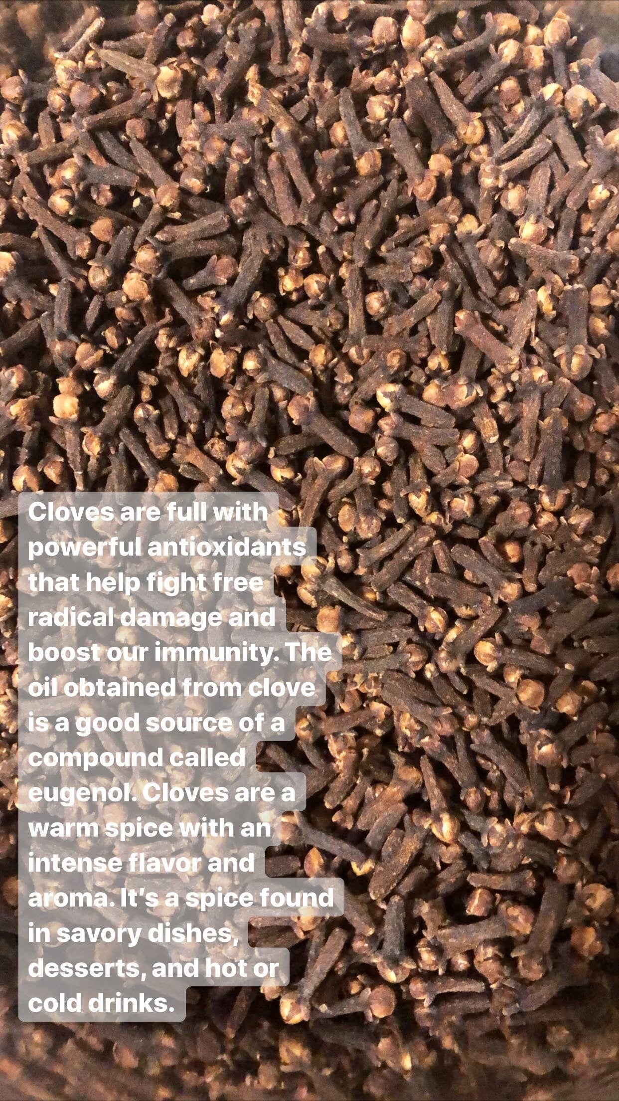 500 Organic Cloves from Zanzibar